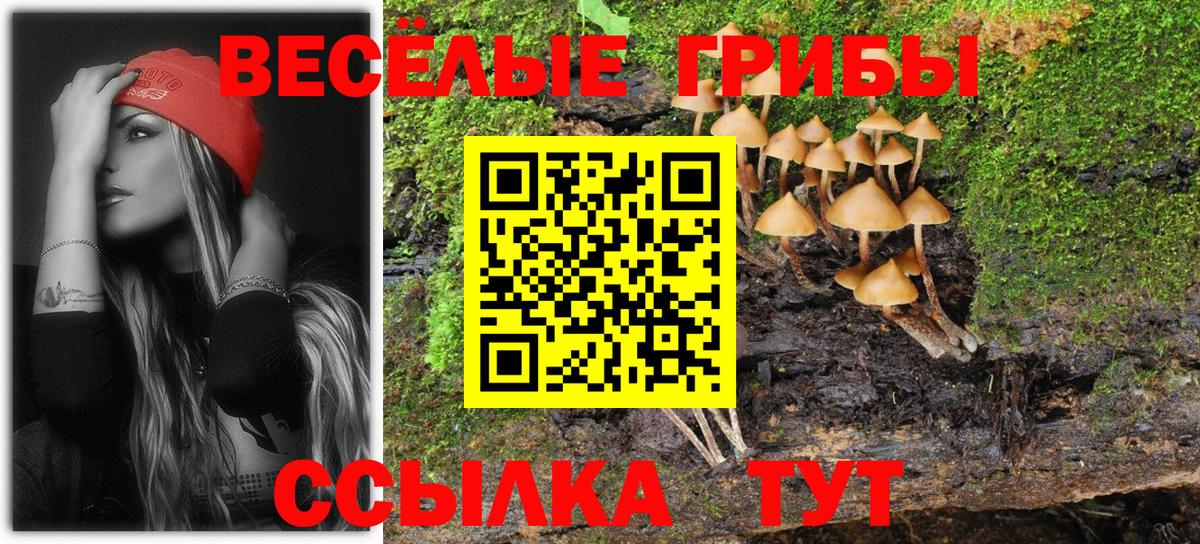 Галлюциногенные грибы Cubensis Междуреченск